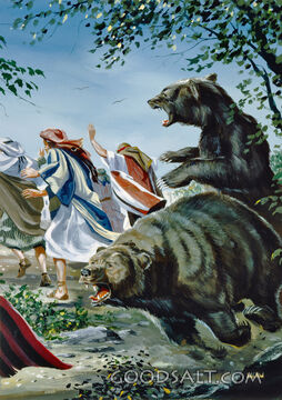Bear Attack!