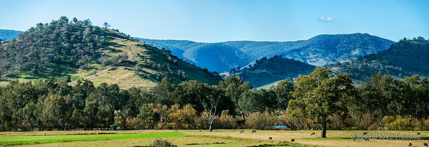 Beautiful rich farmland.