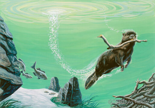 Beaver