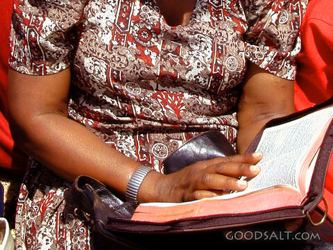 Woman Reading the Holy Bible