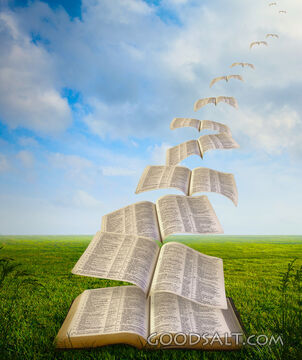 Bible Flying Away