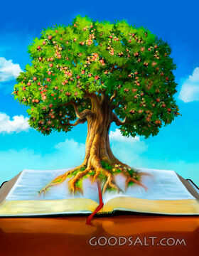 Bible Fruitfulness
