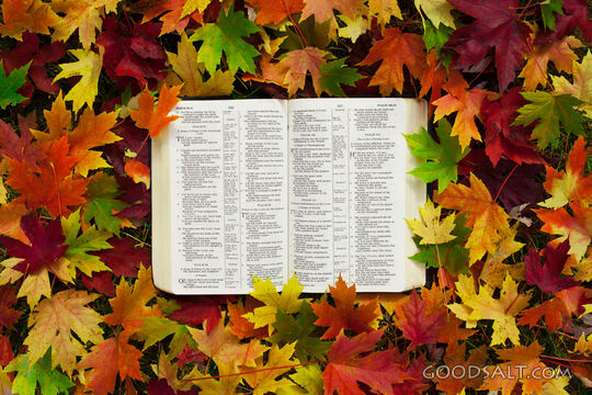 Bible in Fall Leaves