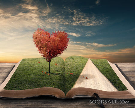 Bible With a Heart Tree