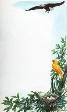 Bird and Eagle