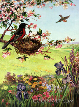 Birds and Lillies