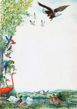 Birds in Eden