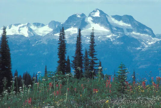 Snow-Capped Peaks of Creation