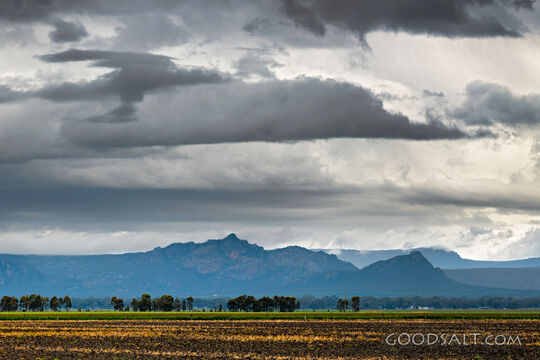 Blue mountains behind farmland.