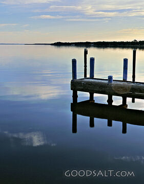boardwalk overlooking water