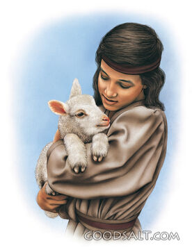 Boy and Lamb