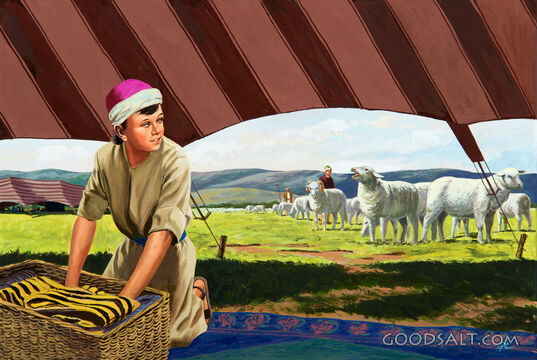 Boy Joseph