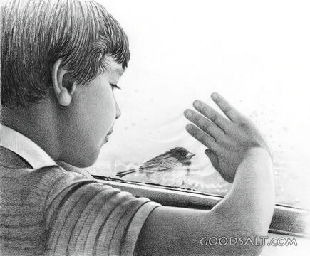 Boy Looking Out Window at Bird