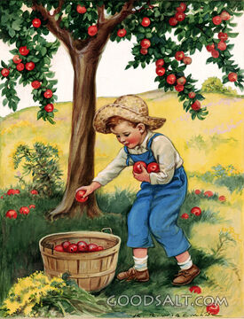 Boy Picking Apples