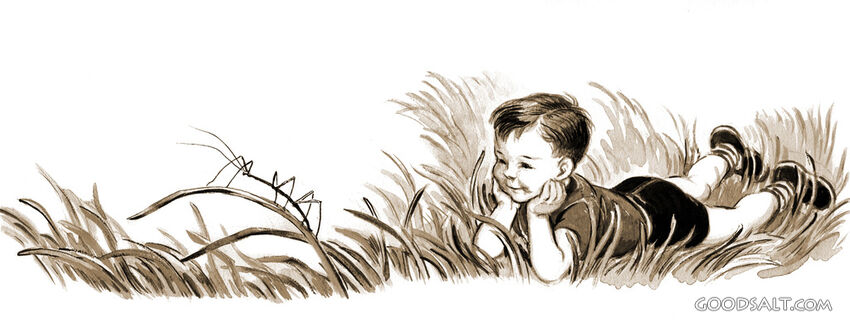 Boy Watching an Insect