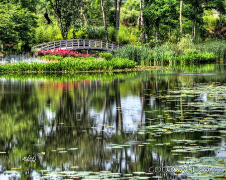 Bridge on Pond