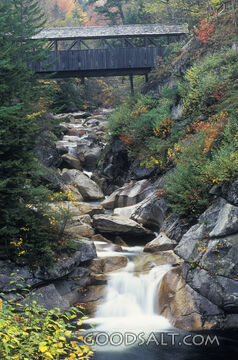 Bridge over Stream