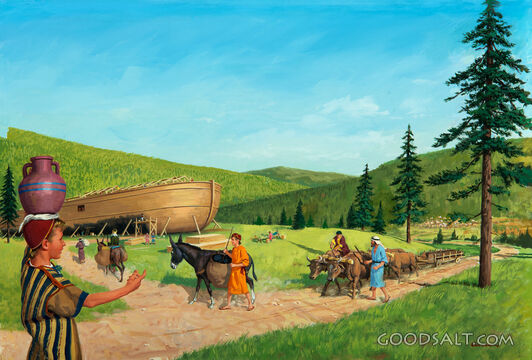 Building the Ark