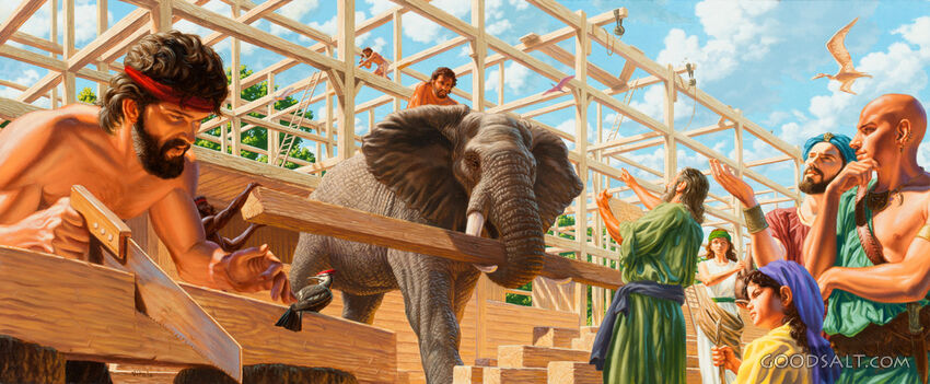 Building the Ark