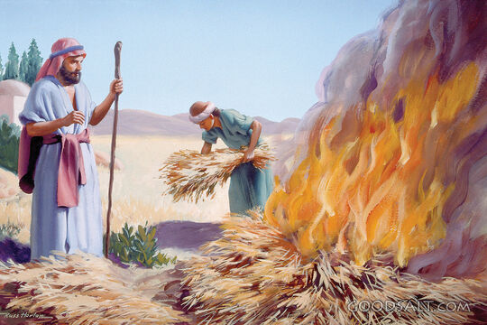 Burning the Stubble