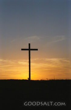 Calvary&#039;s Cross
