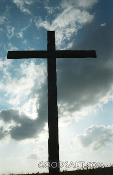 Calvary's Silhouette