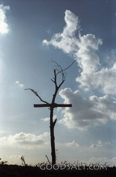 Calvary&#039;s Tree