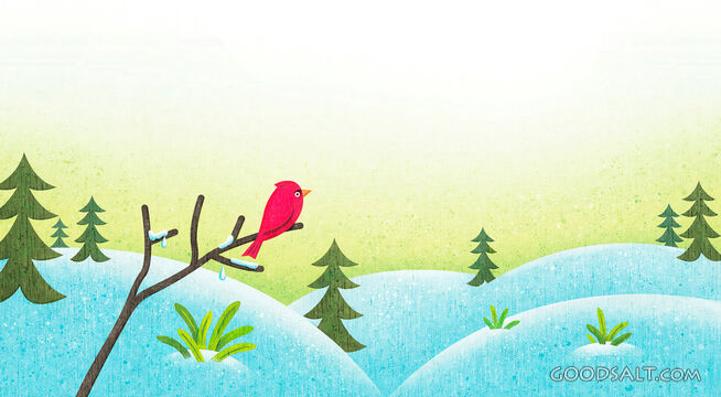 Cardinal on Snowy Tree Branch