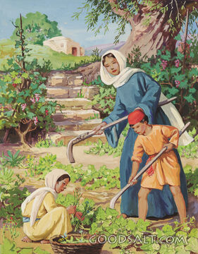 Caring for Garden in Bible Times