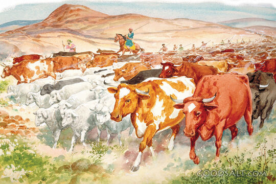Cattle Drive