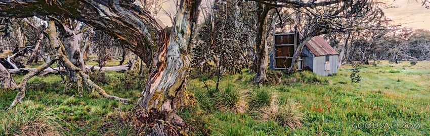 cattleman&#039;s overnight shed amongst trees