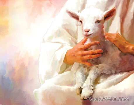 The Lamb of God
