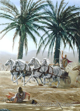 Chariot