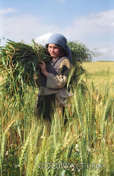 Child Carrying Bundle of Grain