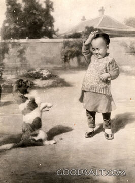 Chinese Girl and Dog