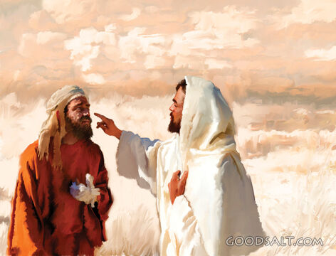 Christ Heals the Leper