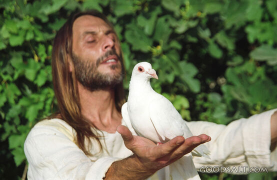 Christ Holding a Dove, Blurred Background