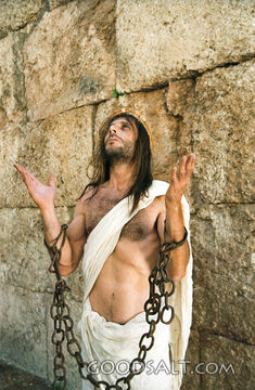 Christ in Chains