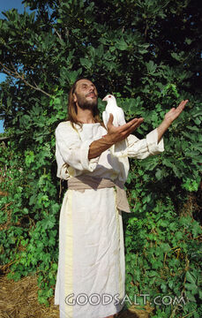 Christ With Hands Raised and Dove