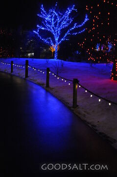 Christmas Blue