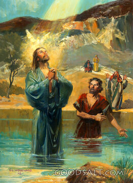 Christ&#039;s Baptism