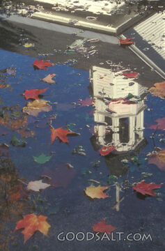 Church Reflection