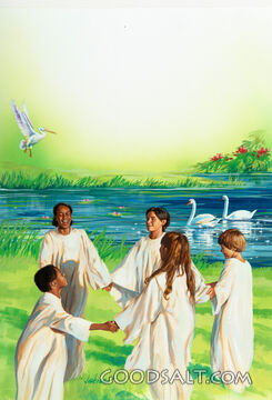 Circle of Joy