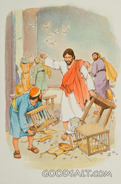 Cleansing the Temple