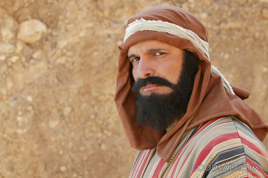 Concerned Israelite Disciple