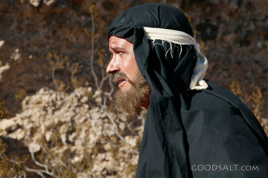 Judas Iscariot in the Wilderness
