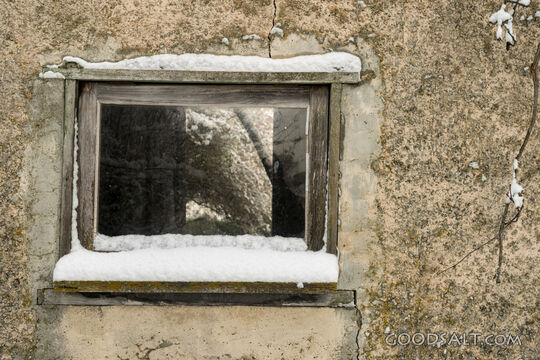 close-up of decayed window on old shed