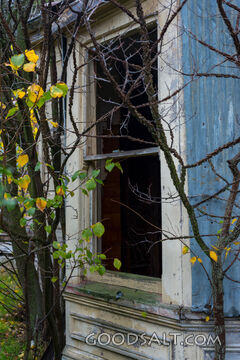 close-up of decayed window on old shed