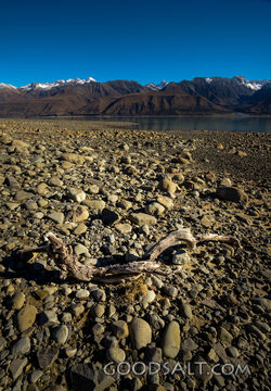 Close up of driftwood.-