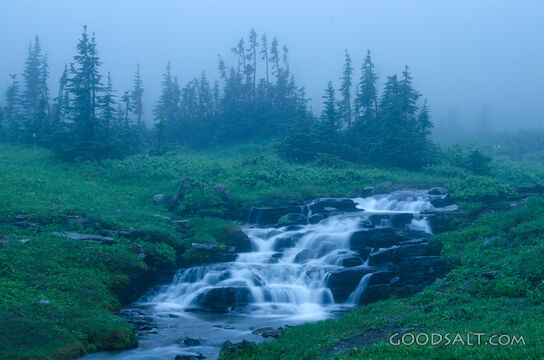 Closed in by Fog